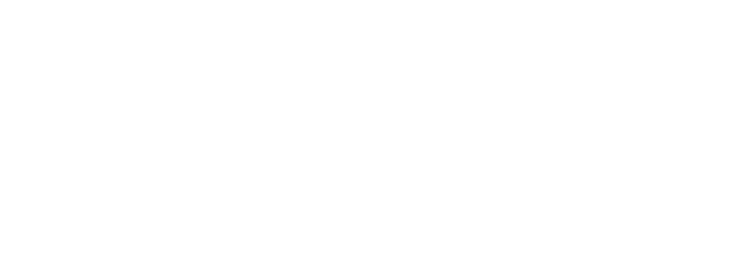 logo light